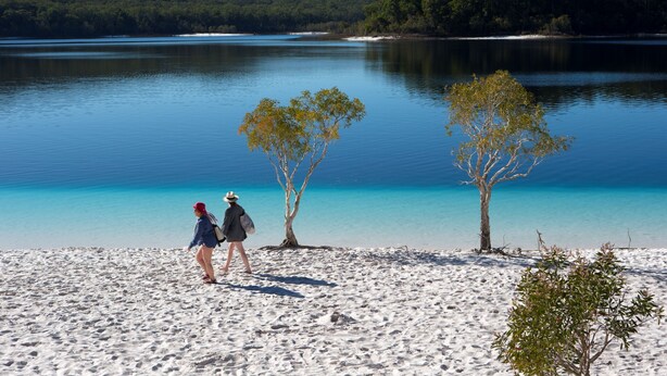 Una playa con dos personas caminando, árboles y un lago tranquilo.