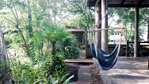 Una hamaca bajo una estructura de madera, rodeada de exuberante vegetación y un sendero.