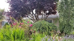A lush garden with various plants and flowers, a 'GUEST PARKING' sign, and a house in the background. - RV/Motor Home by LAVENDER FARM! Free HIGH SPEED BEST INTERNET=WORK from HOME W/D (Sequim)