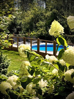 Outdoor pool - Luxurious Vacation Retreat in PEC w/ Pool, Sauna, Basketball court, pizza oven (Prince Edward)