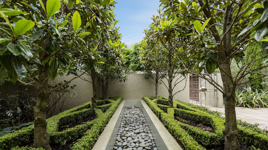 Oasis on Belmont Lane