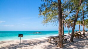 Une plage avec une eau turquoise et limpide, un rivage sablonneux et des tables de pique-nique en bois installées sous les arbres.