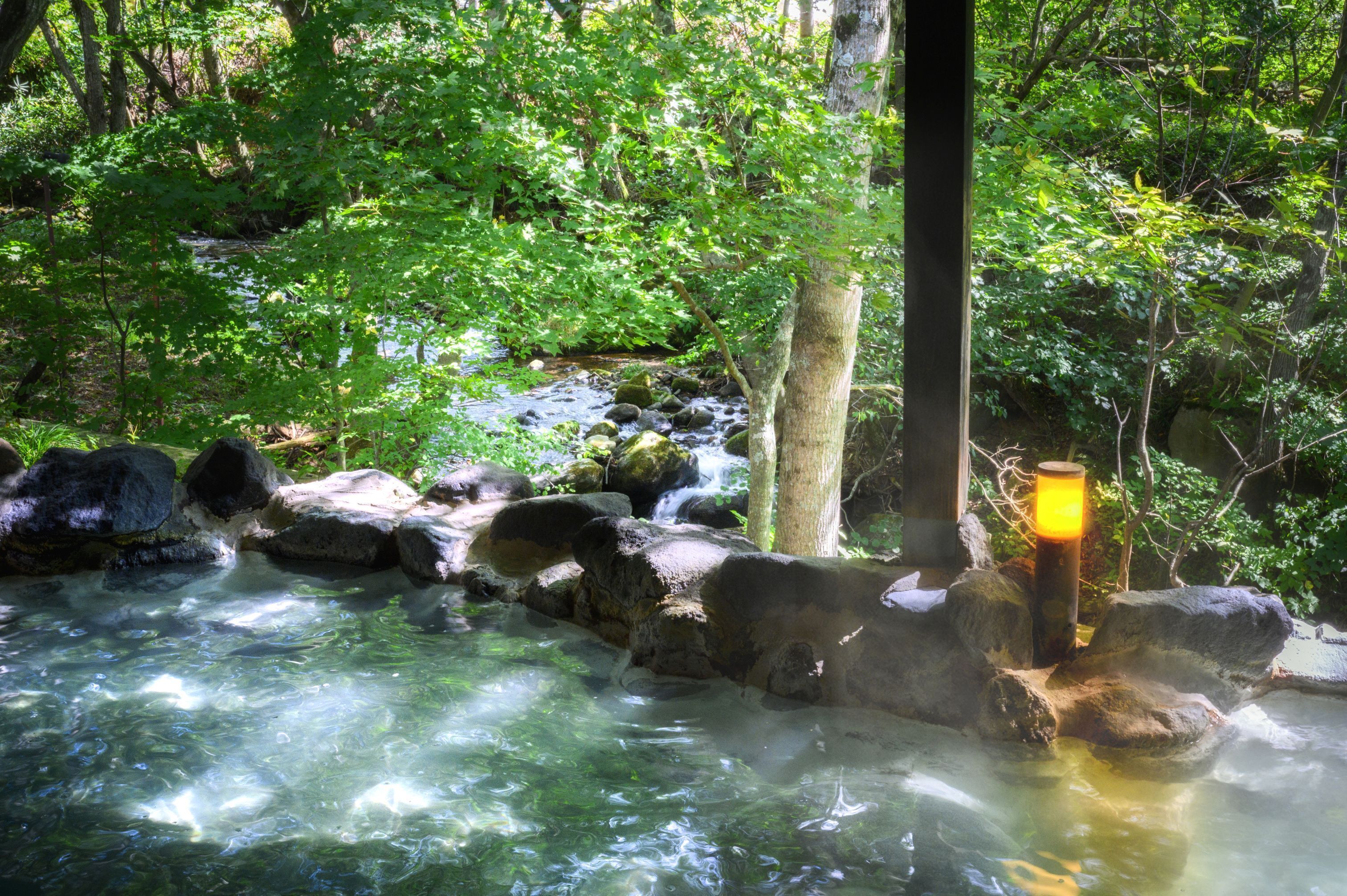 A natural hot spring surrounded by rocks and greenery.
