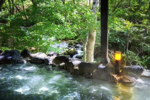Aguas termales