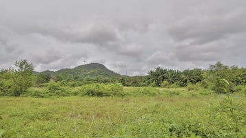 Jardí