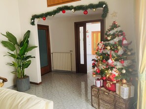 A living room with a Christmas tree, a potted plant, and a radiator.