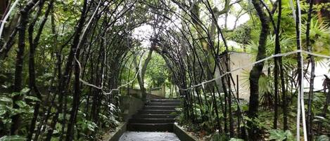 Taman