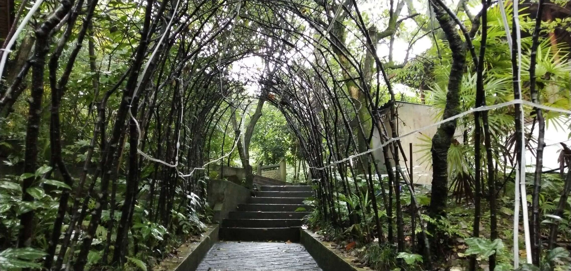 فنادق بتصنيف نجوم (3)