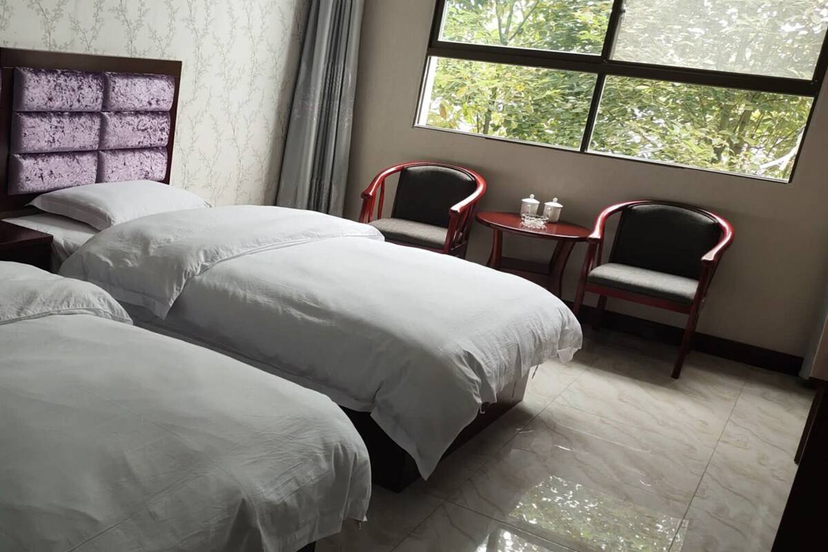 Une chambre d’hôtel avec deux lits, une petite table accompagnée de deux chaises, une fenêtre donnant sur un paysage verdoyant et une tête de lit au motif texturé.