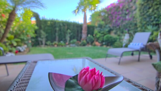 A glass table with a pink flower centerpiece, outdoor seating area, and a well-maintained garden with various plants and a hedge.