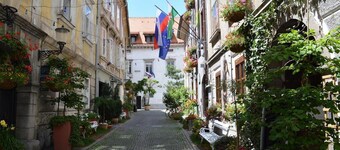 Codelli Deluxe Unique Fresko Apartments