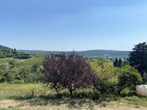 A rural landscape with a prominent tree in the foreground, a clear sky, and distant hills.