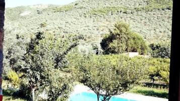 Habitació Deluxe | Habitacions insonoritzades i roba de llit