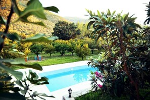 A swimming pool surrounded by lush greenery and trees.