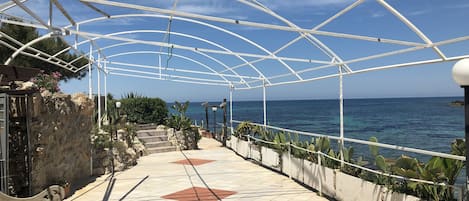 Terraza o patio