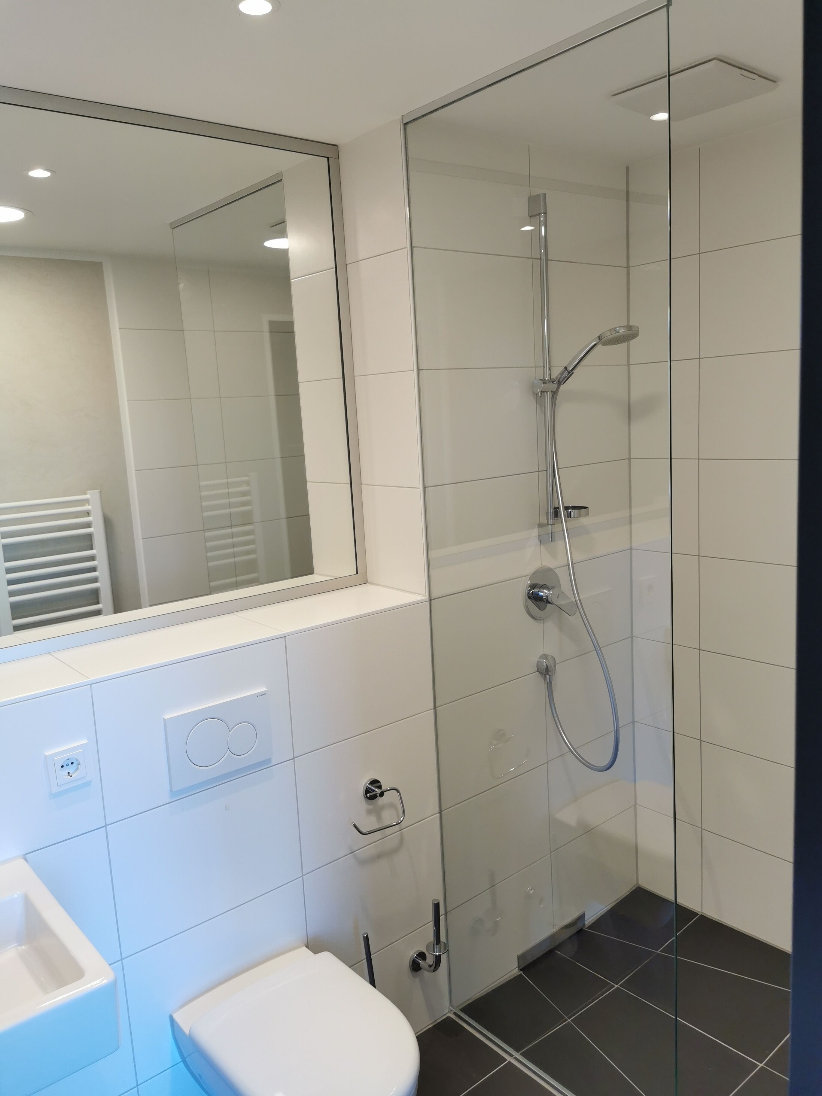 A modern bathroom with a glass shower enclosure, a white toilet, and a sink.