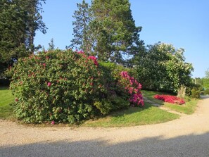 Áreas de la propiedad