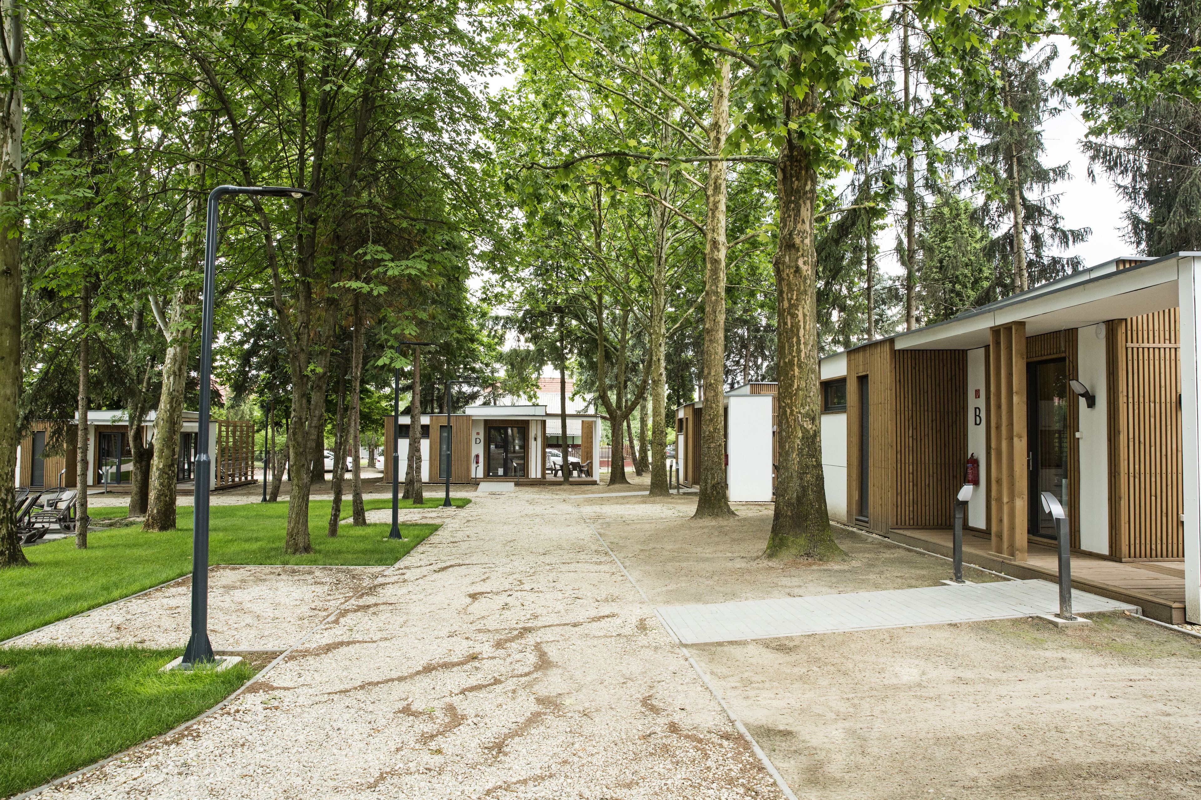 Un camino que lleva a un edificio de diseño moderno, rodeado de árboles.