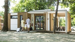 A modern, compact building with a wooden exterior and a glass door entrance. - Barack Thermal Apartments (Tiszakécske)