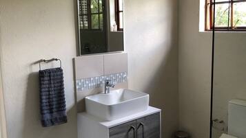 Regadera, secadora de cabello, toallas, jabón