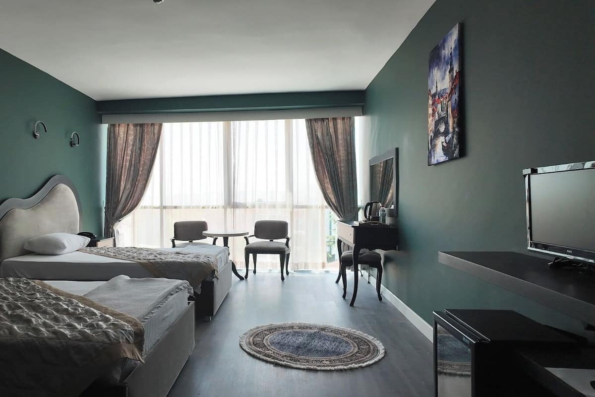 Rom – standard, 2 enkeltsenger, byutsikt | Wi-fi (inkludert) og sengetøy