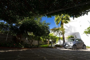 الإطلالة من المنشأة