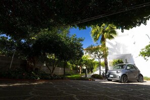 Área da propriedade