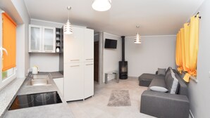 A compact living space with a kitchenette, a sofa, a TV, and a fireplace.