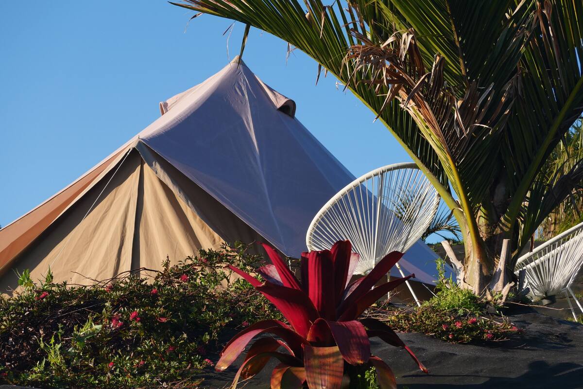 四人房, 海景 (Nikau Teepee) | 埃及棉床單、高級寢具、記憶床墊、筆電工作空間