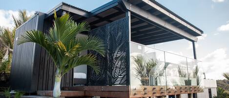 A modern house with a glass facade, wooden deck, and a palm tree in the foreground.