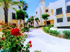 Terrein van de accommodatie