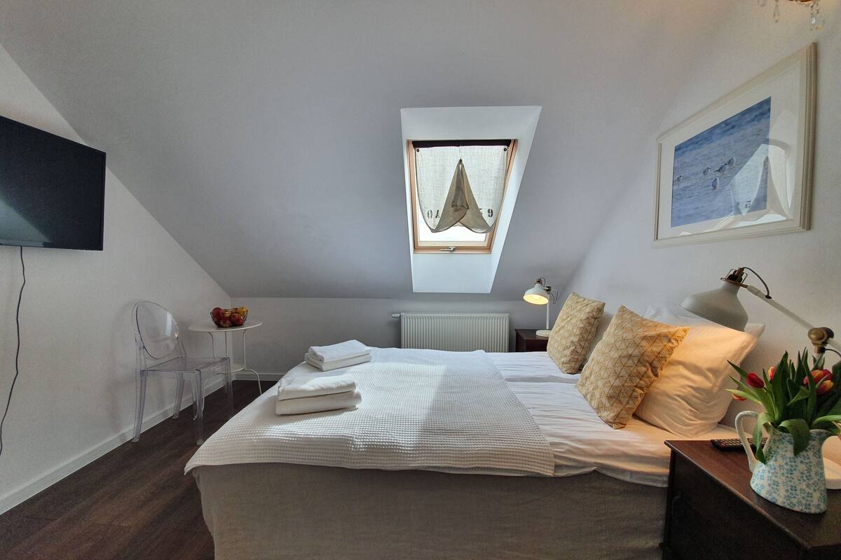 A bedroom with a bed, a skylight, a desk, a chair, a radiator, and a television.