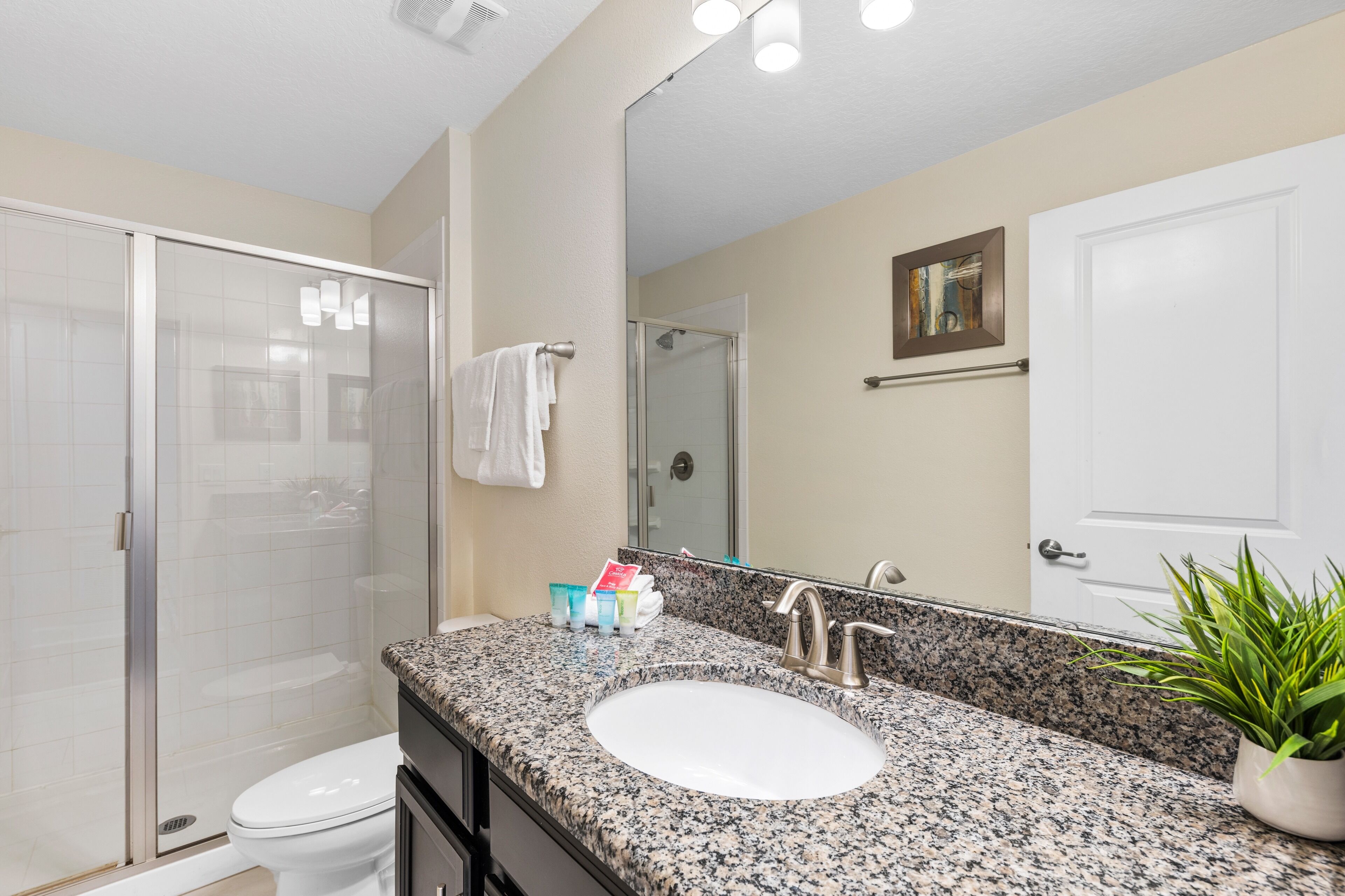Une salle de bain avec un lavabo sur un plan de travail en granit, des toilettes blanches, une douche en verre et une plante en pot.