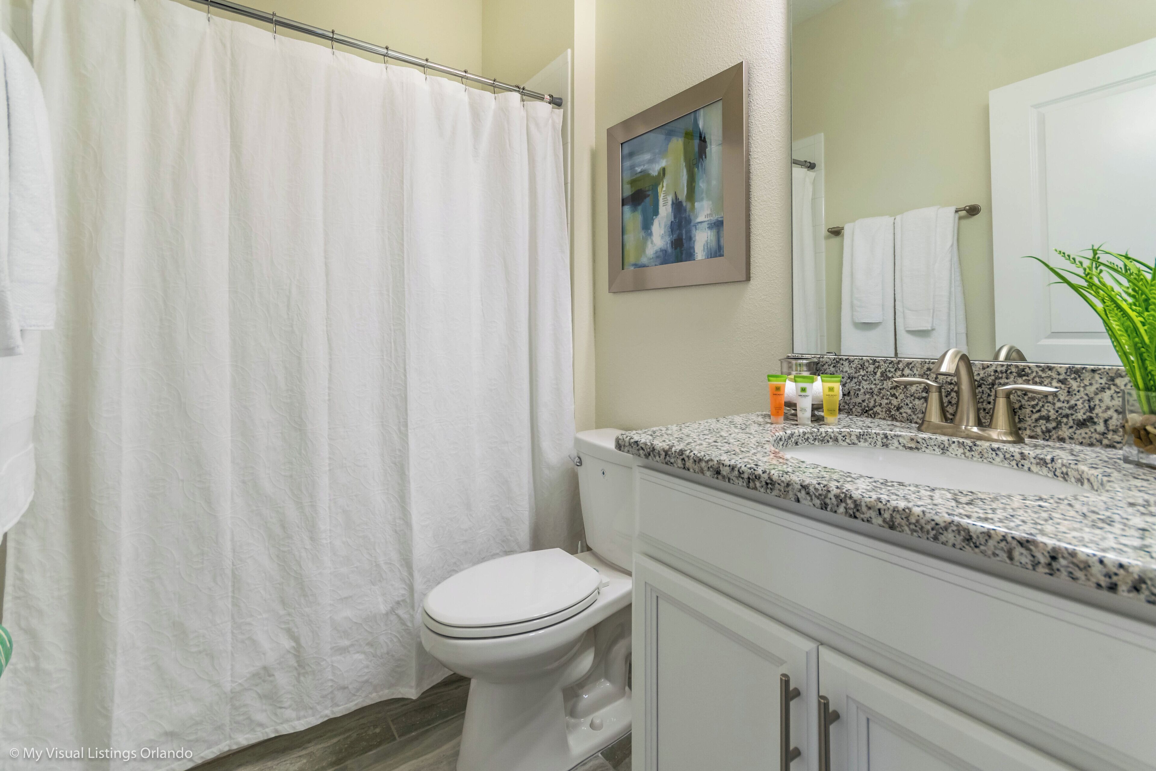 A bathroom with a white toilet, a shower curtain, a granite countertop with toiletries, and a mirror with a painting.
