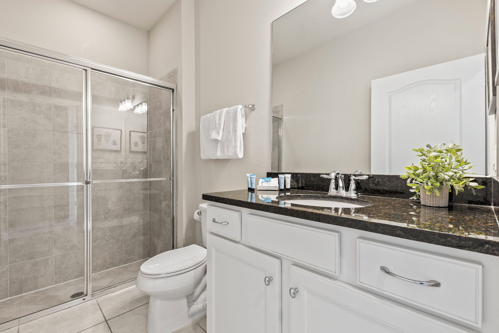 A modern bathroom with a glass shower enclosure, a white toilet, a sink with a black countertop, and a mirror above the sink.