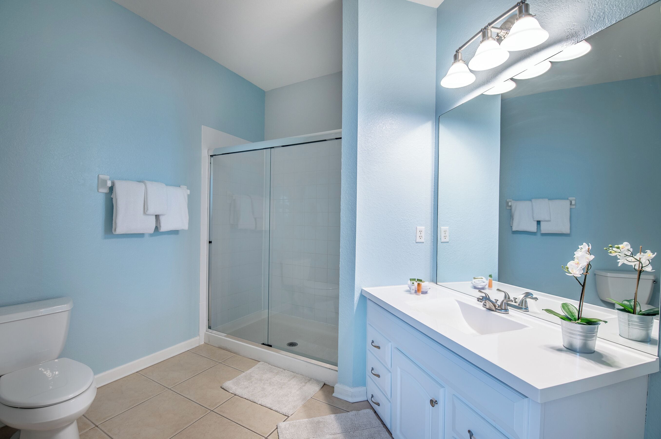 A bathroom with a glass shower enclosure, a white sink with a mirror, and a white toilet.