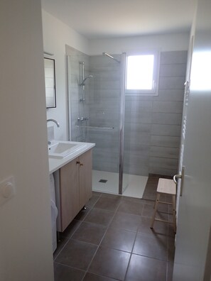 Shower, hair dryer, toilet paper