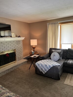 TV, fireplace, DVD player, books