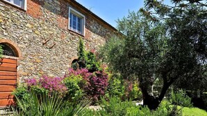 Un edificio de piedra con una ventana y un arco de entrada, rodeado de abundante follaje y plantas en flor.