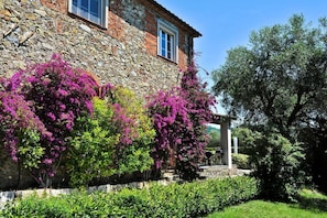 Áreas de la propiedad