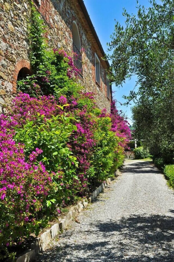 Áreas de la propiedad