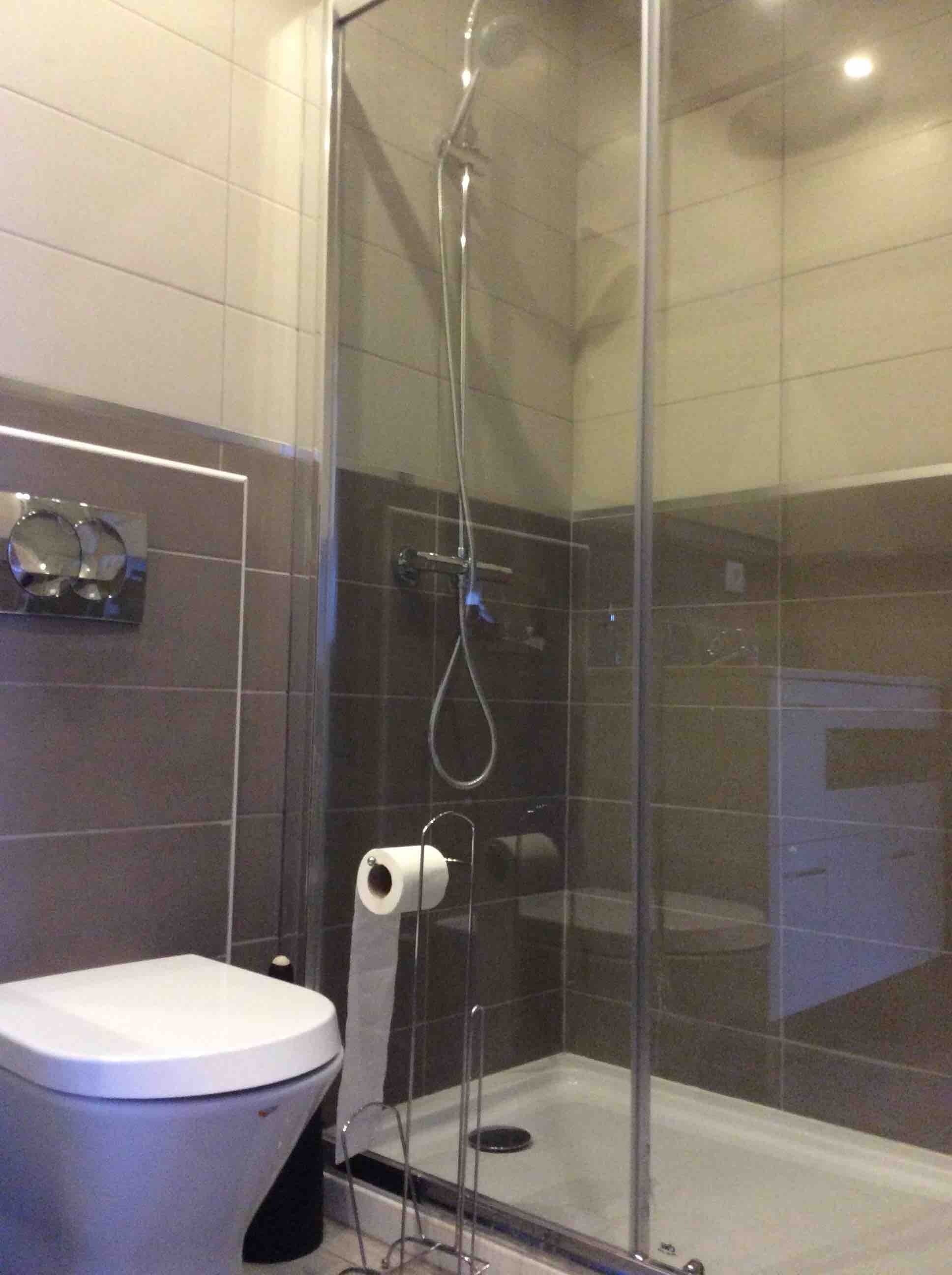 Ducha, secador de pelo y toallas