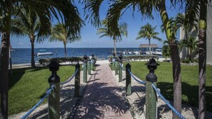 A pathway lined with palm trees leading to a beach area with boats and a building in the background.