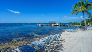 A beach with clear blue water, a palm tree, and lounge chairs.