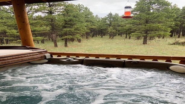 Ein Whirlpool mit Blick auf einen Wald.