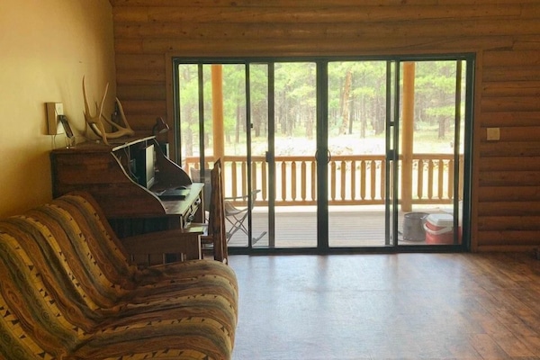 Smart TV, fireplace, DVD player, video library