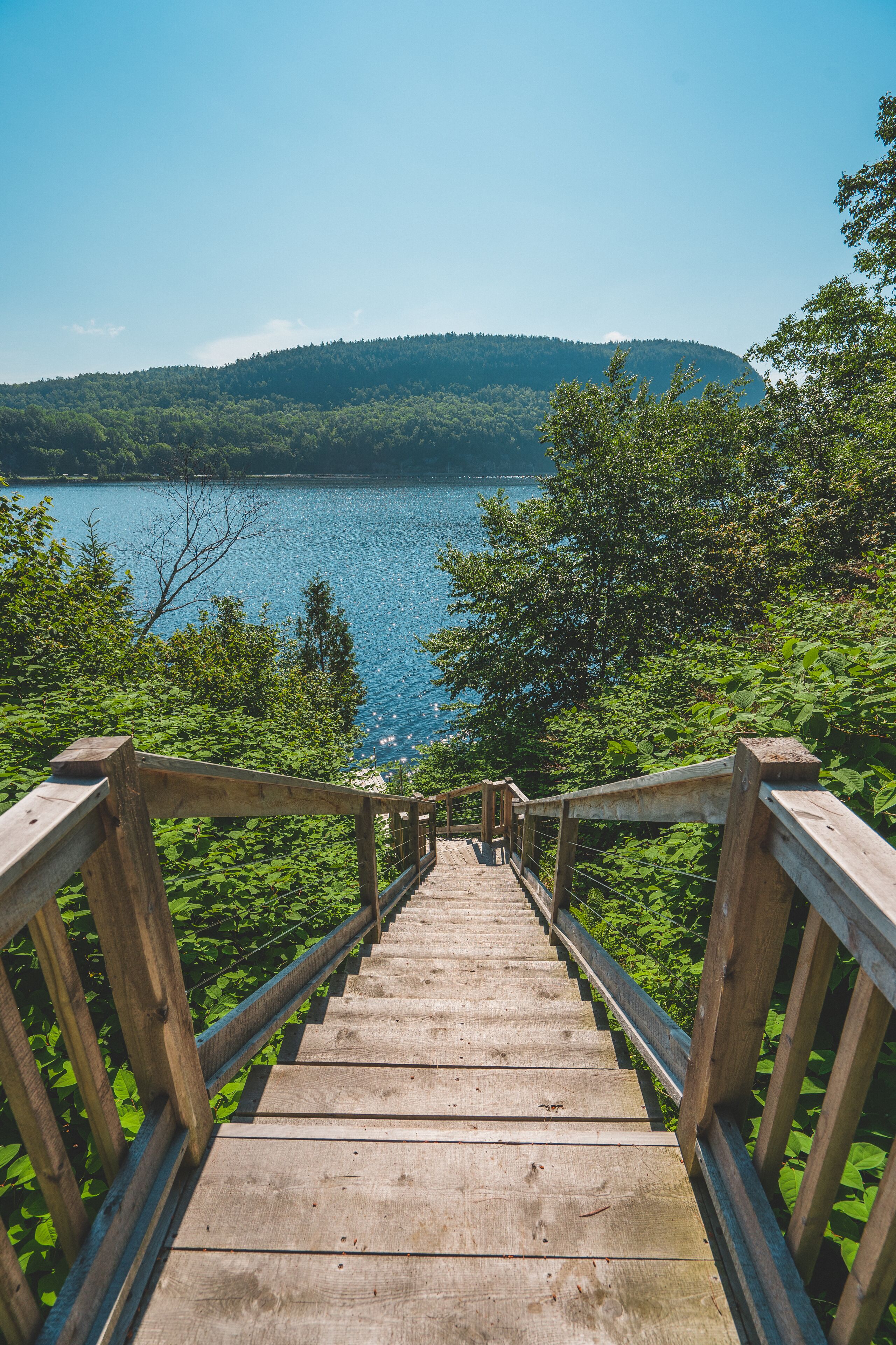 Nhà gỗ có tầm nhìn toàn cảnh | Hiên