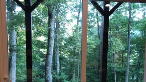 A view through a glass door of a forested area with a gravel path, wooden steps, and a stack of firewood. - Close by downtown Asheville, the Biltmore Estate, Blue Ridge ParkWay, Arboretum. (Candler)