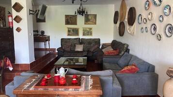 Télévision, cheminée, livres