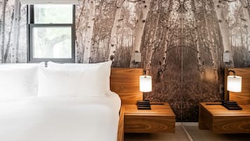 1 多间卧室、熨斗/熨衣板、免费 WiFi、床单